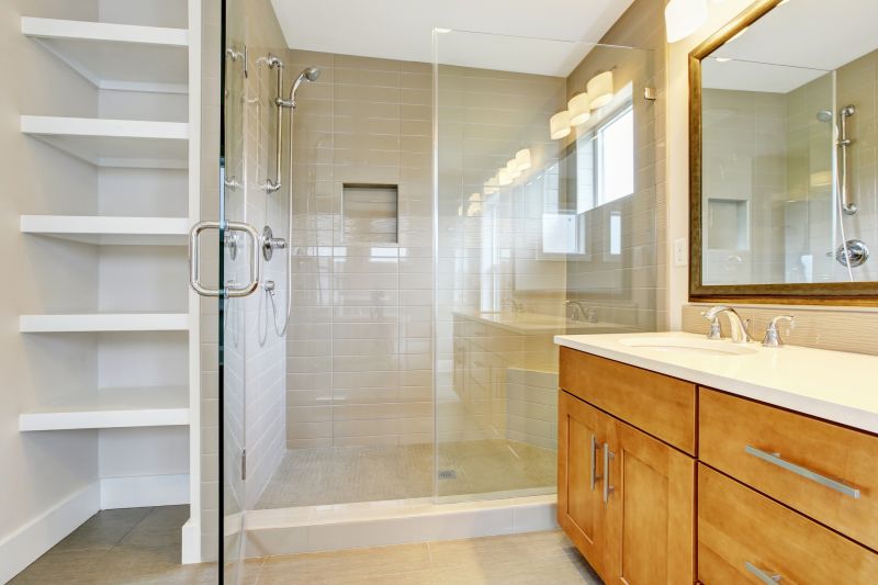 Elegant Frameless Doors